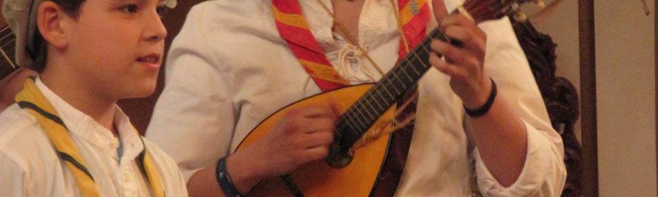 RSW 2013 mandolin