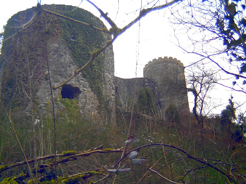 Burg Hausach