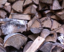 Holz-Diebstahl: Pfadfinder unter Verdacht