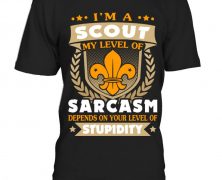 SCOUT – MY LEVEL OF SARCASM