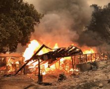 Kalifornien: 90 Pfadfinder vor Waldbrand gerettet