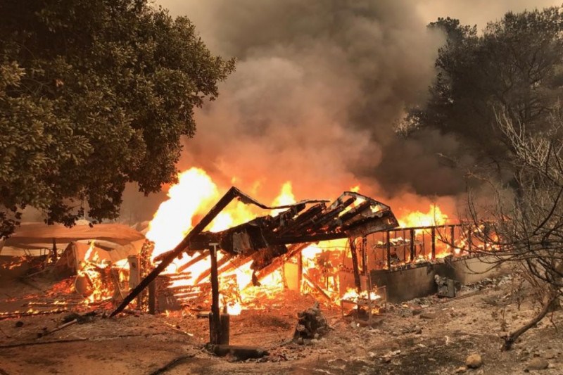 Kalifornien: 90 Pfadfinder vor Waldbrand gerettet